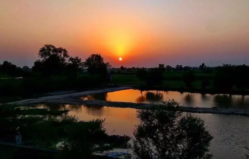 Hotelli Ibishouse Farm Stay