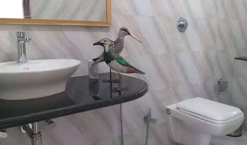 Hotelli Ibishouse Farm Stay