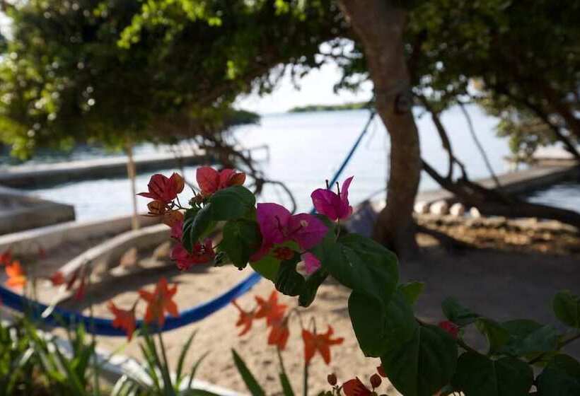 هتل Isla Tijereto