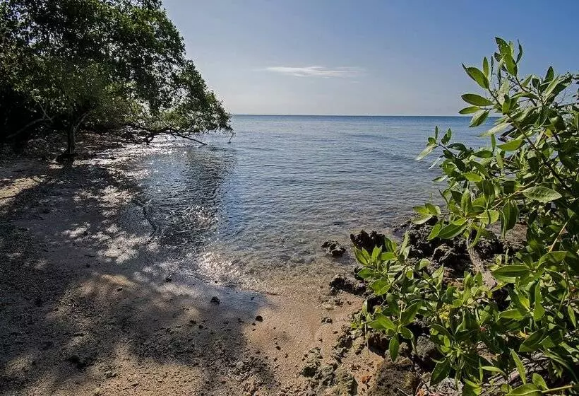 Hotelli Isla Tijereto