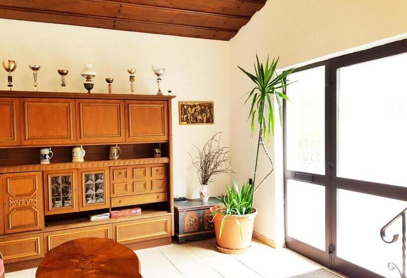 ペンション Aparthotel Pan Haus