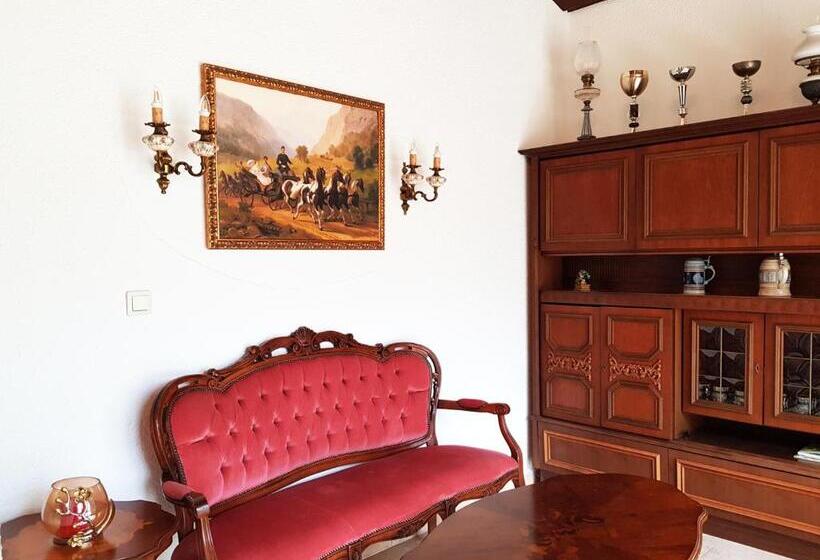 ペンション Aparthotel Pan Haus