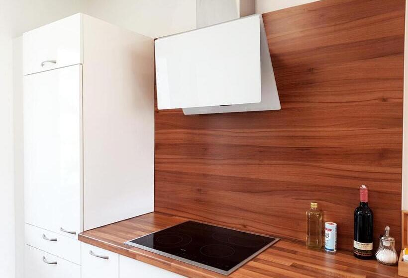 ペンション Aparthotel Pan Haus