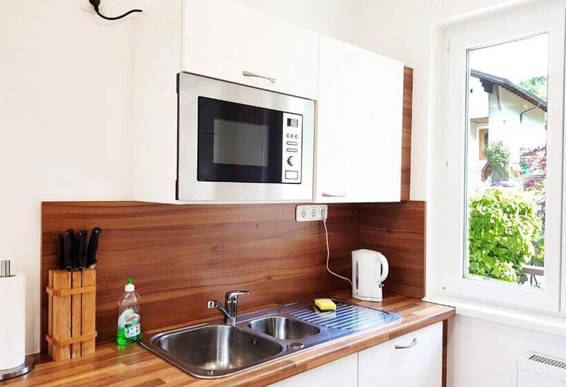 ペンション Aparthotel Pan Haus