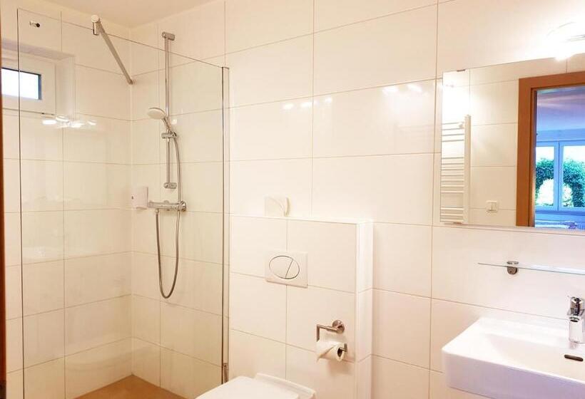 ペンション Aparthotel Pan Haus