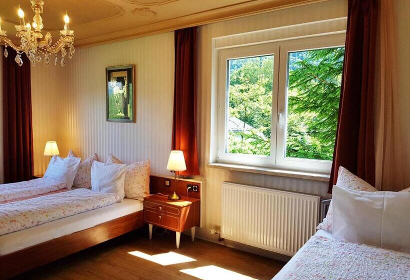 ペンション Aparthotel Pan Haus