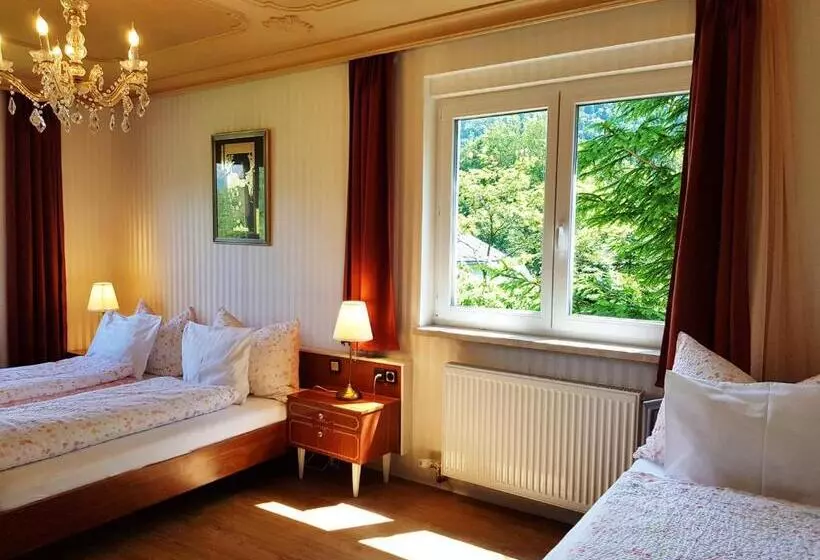 ペンション Aparthotel Pan Haus