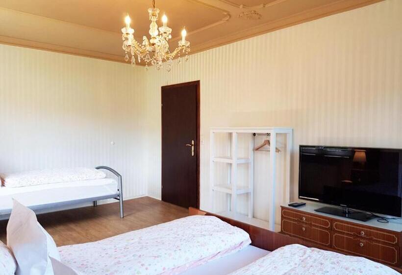 ペンション Aparthotel Pan Haus