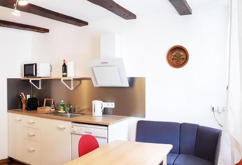 ペンション Aparthotel Pan Haus