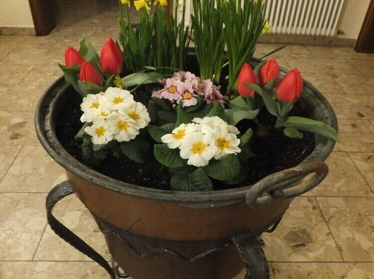 Pansiyon Gasthof Zum Löwen Enzklösterle