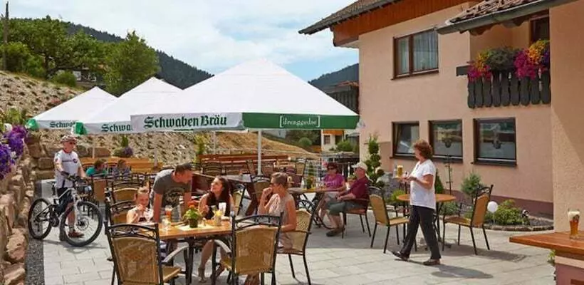 簡易ホテル Gasthof Zum Löwen Enzklösterle