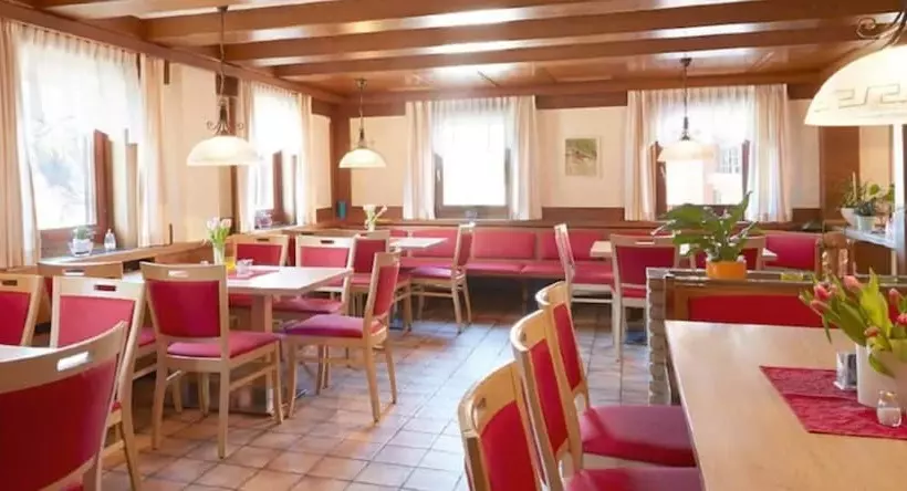 簡易ホテル Gasthof Zum Löwen Enzklösterle