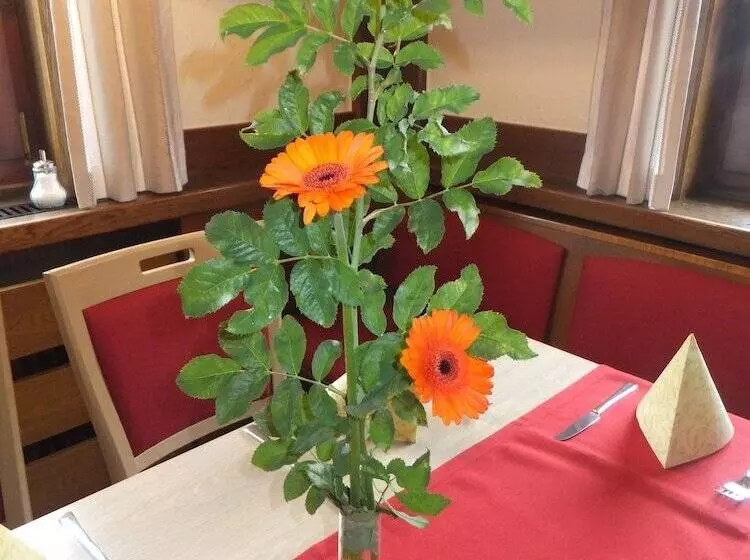 簡易ホテル Gasthof Zum Löwen Enzklösterle