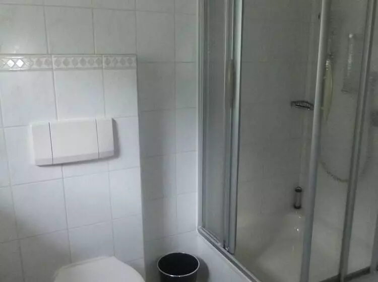 簡易ホテル Gasthof Zum Löwen Enzklösterle