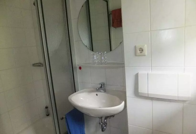 簡易ホテル Gasthof Zum Löwen Enzklösterle