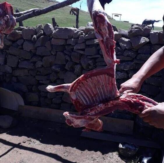 Hotelli Hosteria Buena Vista