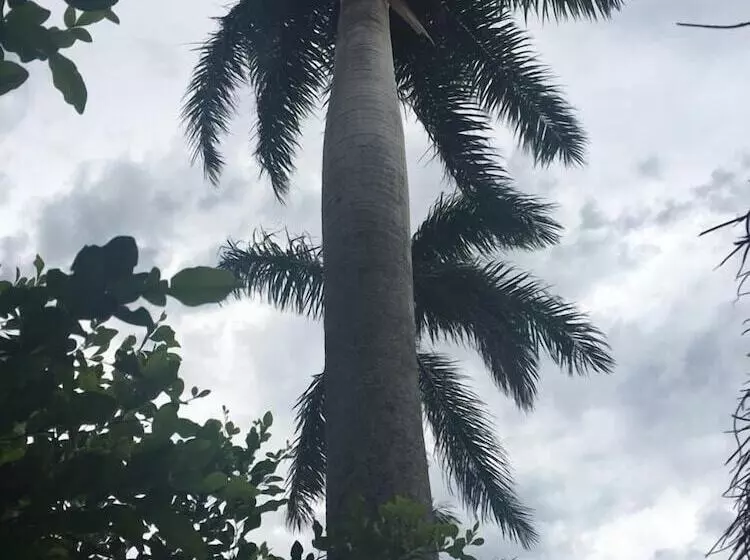 Hotelli ángel De Santa Fe