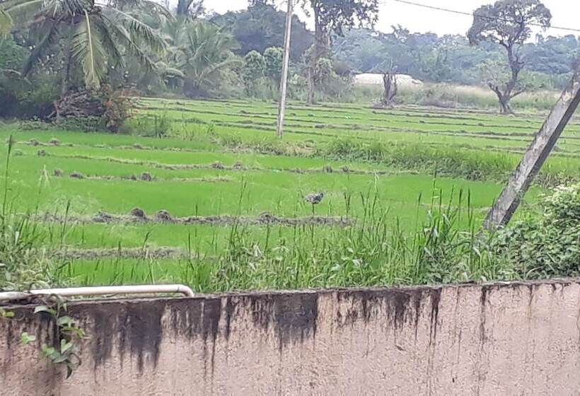 Isiwara Paura Ayurvedic Lodge