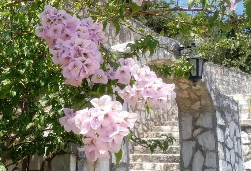 Studios Rania   Rania Studios & Apartments