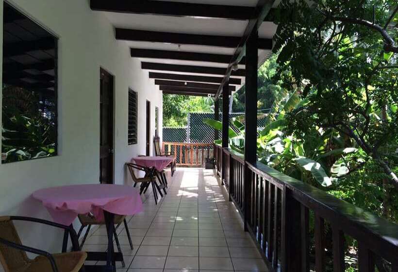 هاستل Tunco Lodge