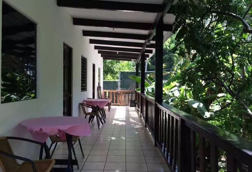 هاستل Tunco Lodge