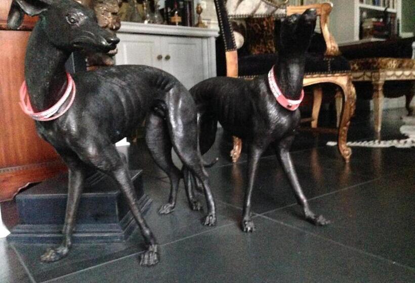 צימר Old Ivy Walk