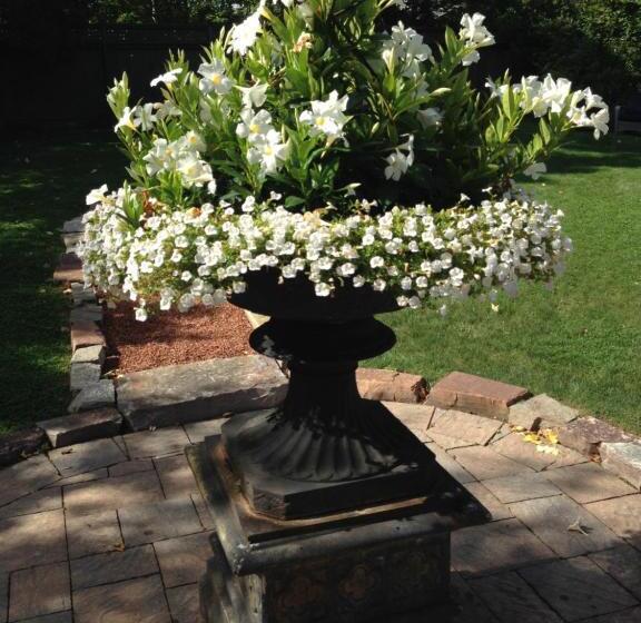 צימר Old Ivy Walk