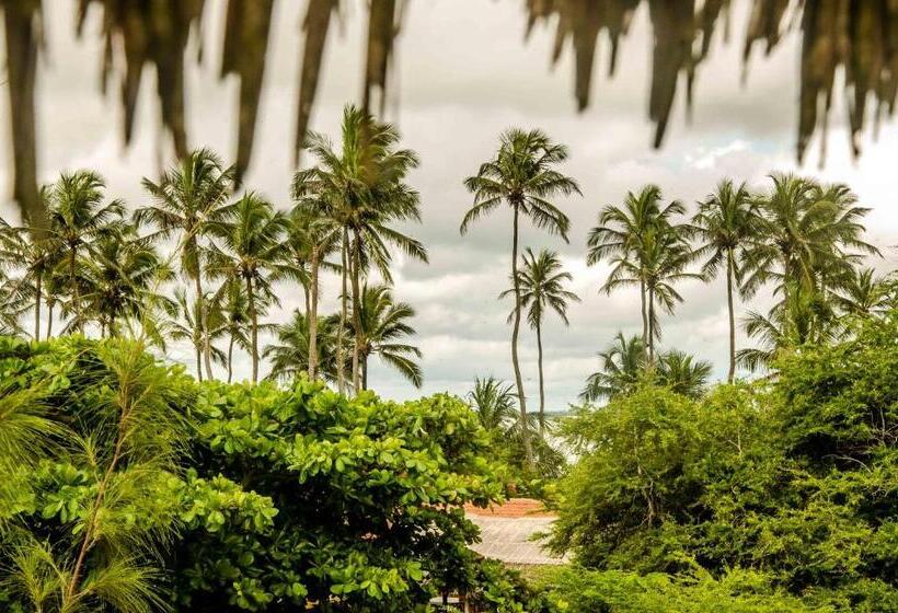 בית מלון כפרי Pousada Principal