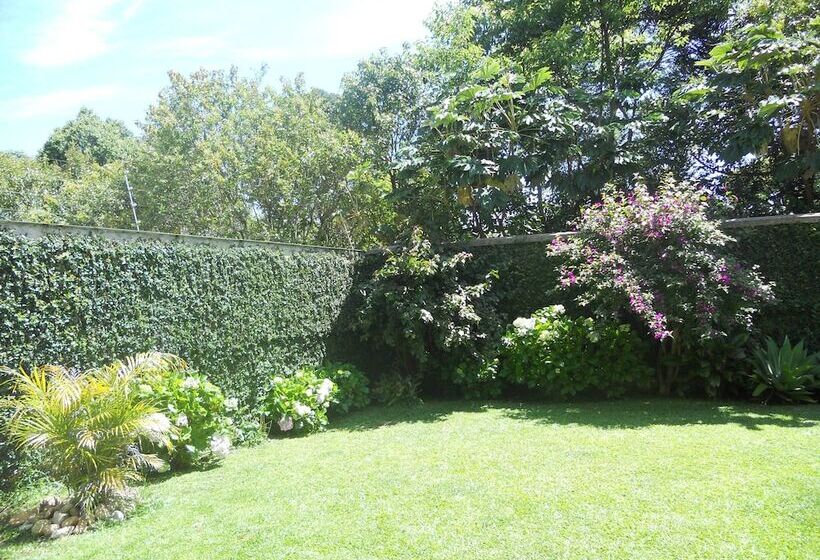 호텔 Hospedagem Three Little Birds