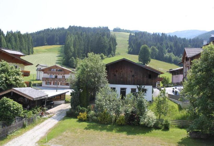 פנסיון Apartment Panorama