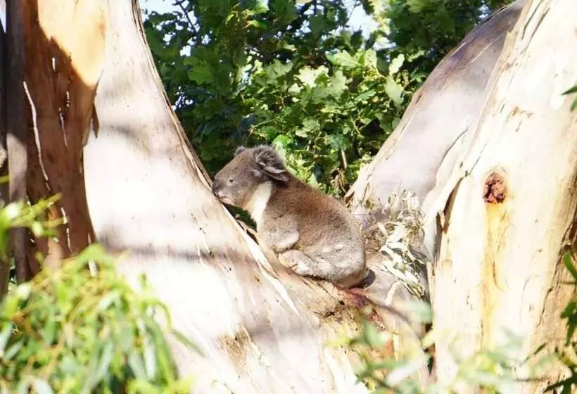 ペンション Apollo Panorama Guesthouse