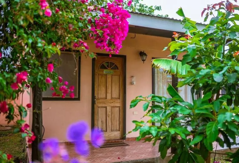 Cabañas Vaiora