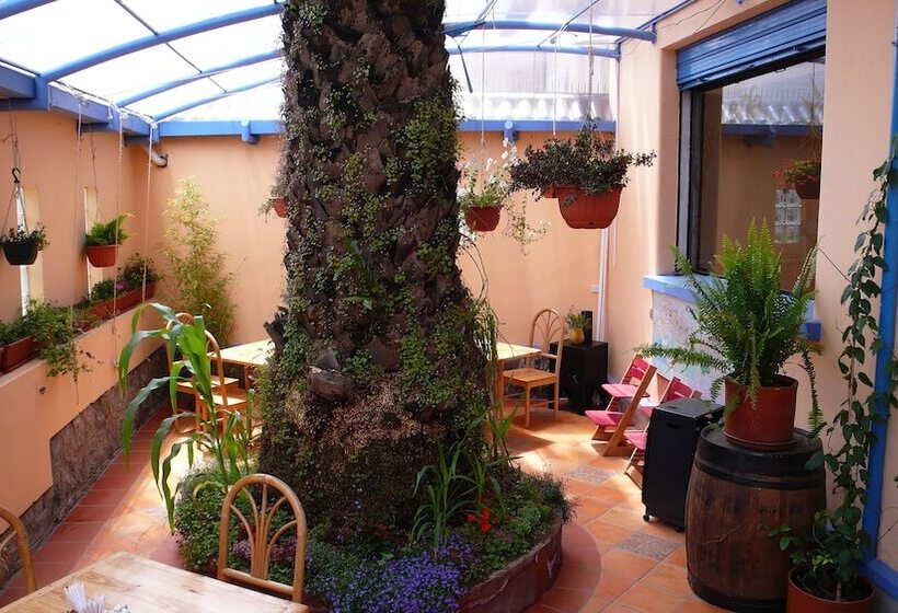 Casa Helbling Hostel