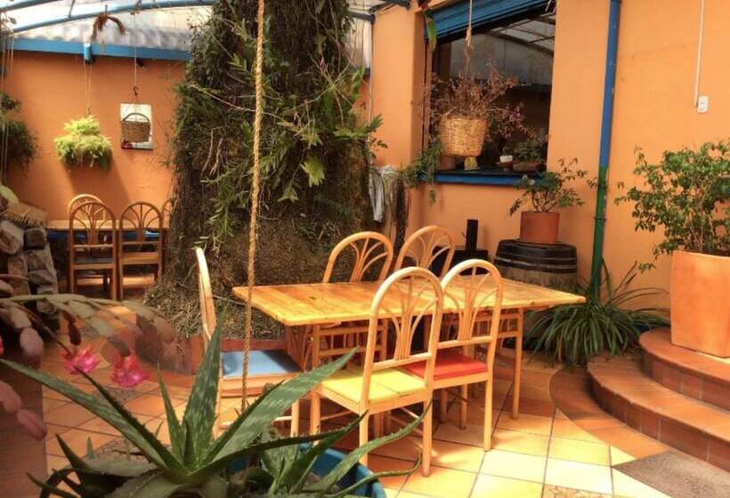 Casa Helbling Hostel