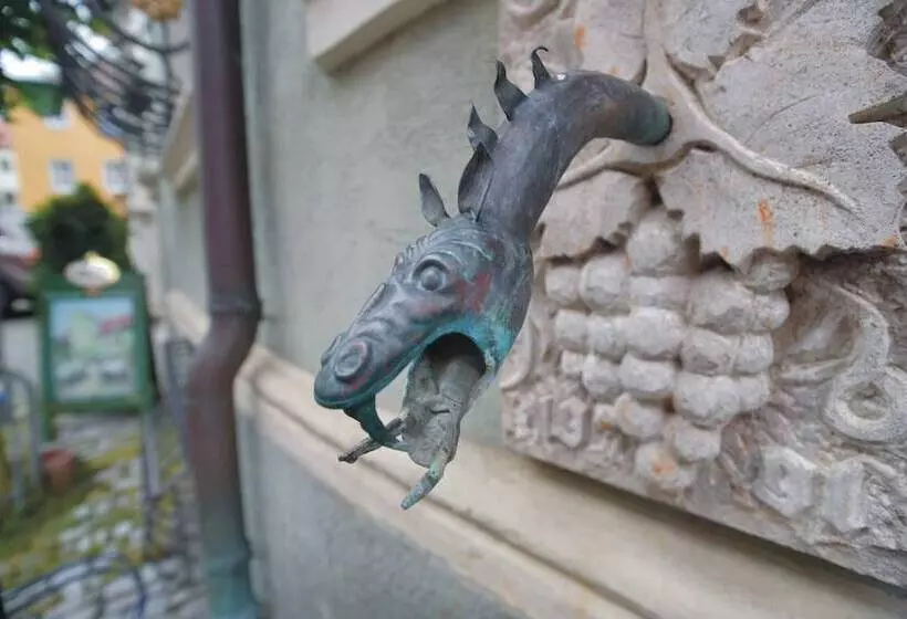 Hostelli Gasthof Grüner Baum