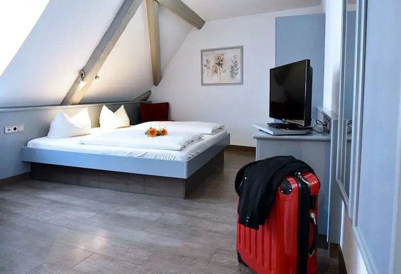 Hostelli Gasthof Grüner Baum