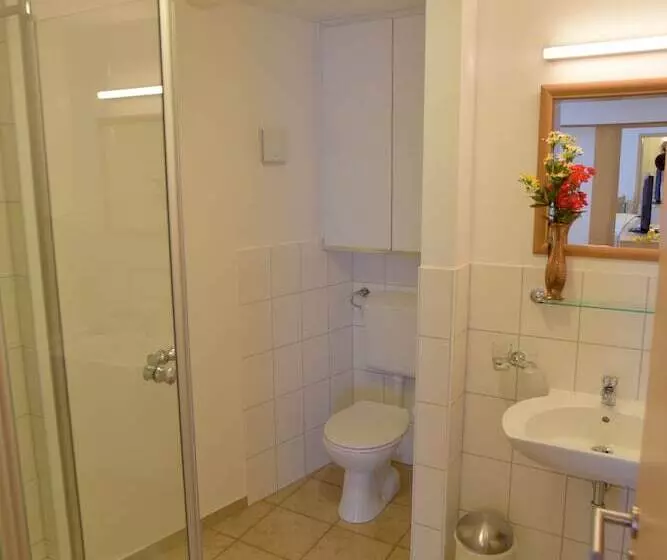 Hostelli Gasthof Grüner Baum