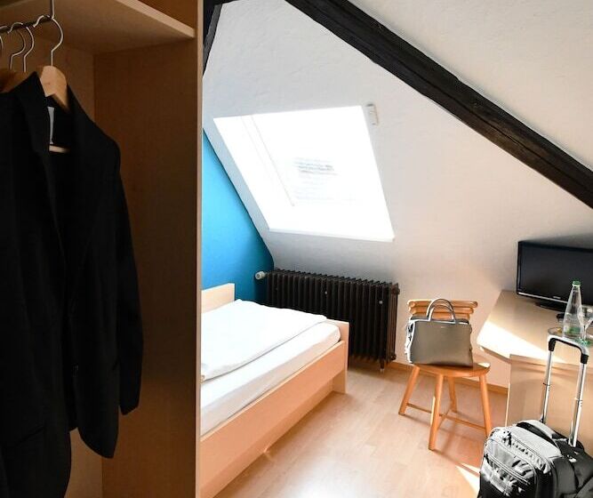 فندق فئة نجمة واحدة Gasthof Grüner Baum