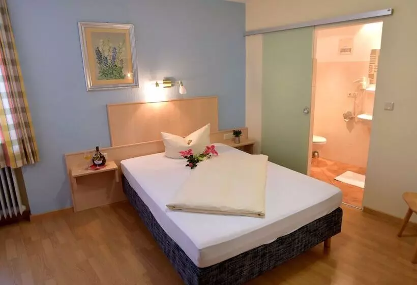 Hostelli Gasthof Grüner Baum