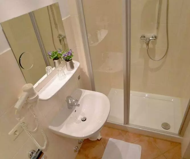 Hostelli Gasthof Grüner Baum