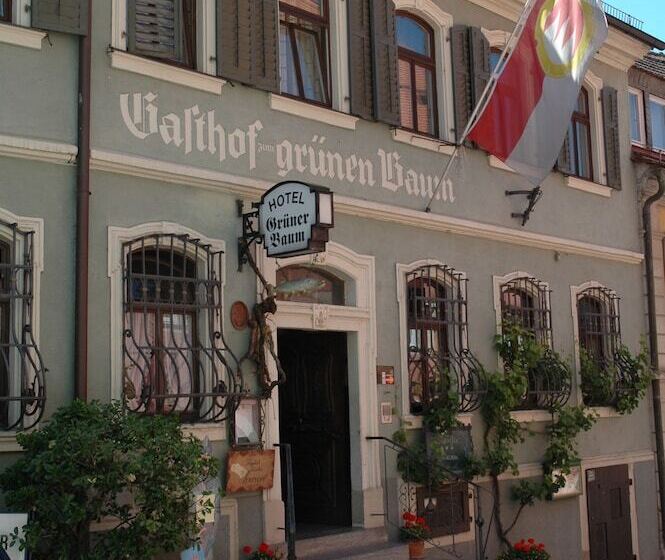 فندق فئة نجمة واحدة Gasthof Grüner Baum