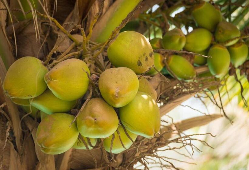 هتل La Résidence