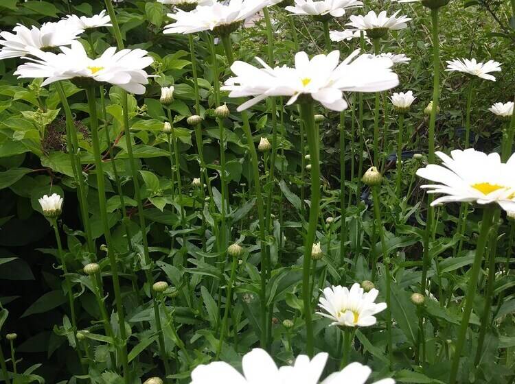 Glory Inn Downtown Bed & Breakfast