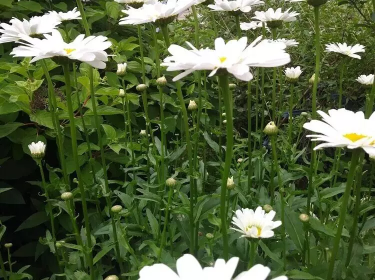 Glory Inn Downtown Bed & Breakfast