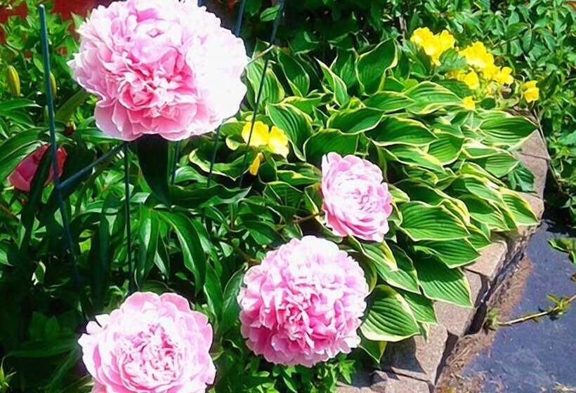 Glory Inn Downtown Bed & Breakfast