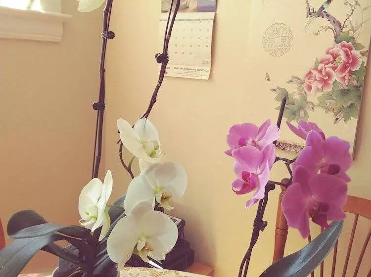 Glory Inn Downtown Bed & Breakfast