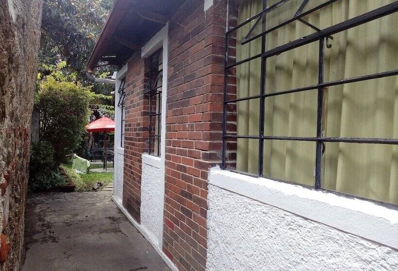 Hostel Y Restaurante Casa Jacaranda