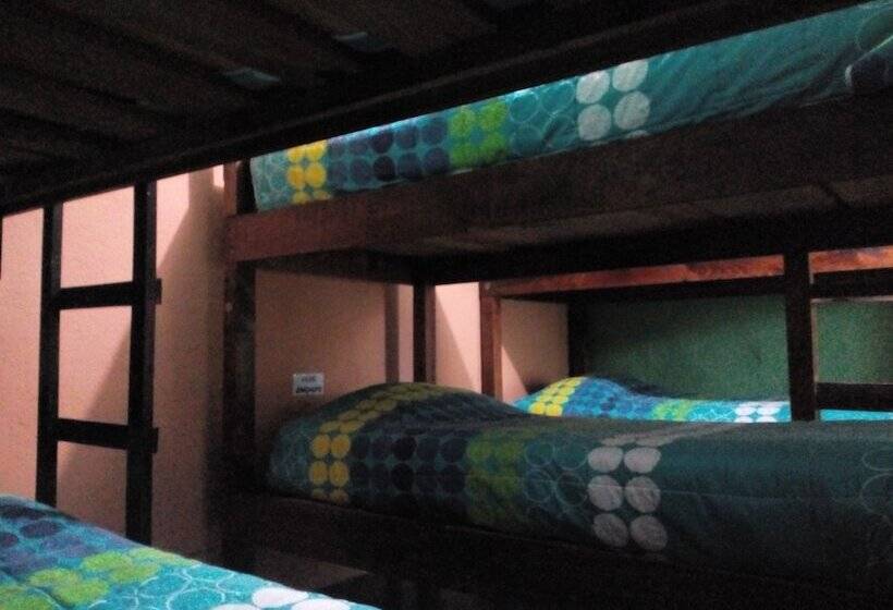 Hostel Y Restaurante Casa Jacaranda