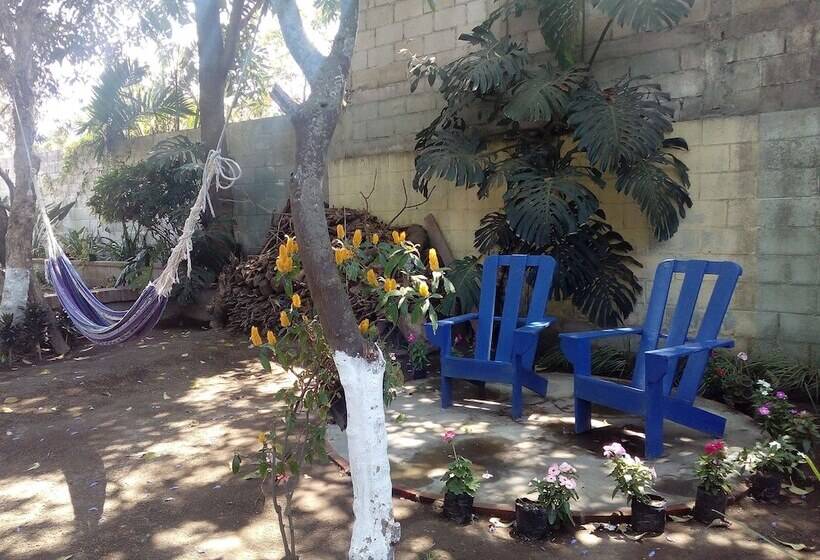 Hostel Y Restaurante Casa Jacaranda