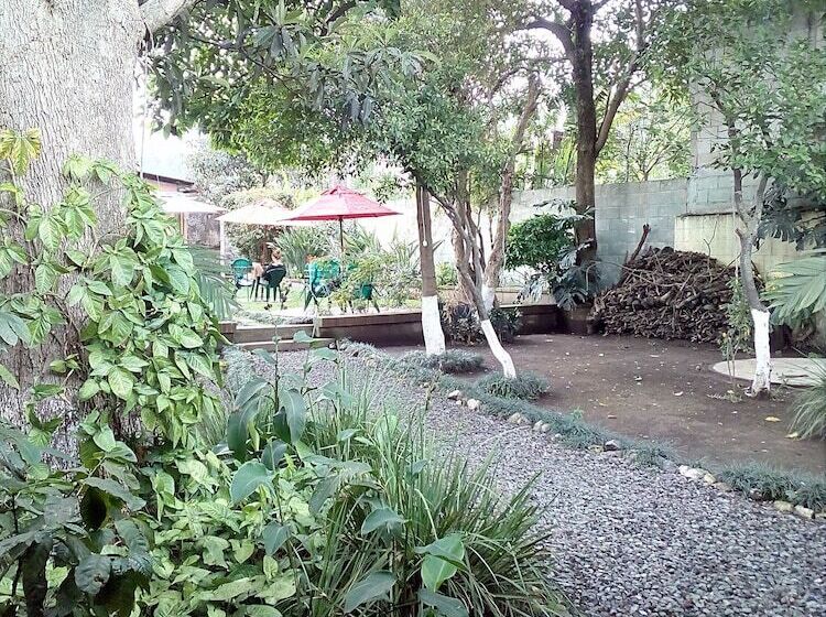 Hostel Y Restaurante Casa Jacaranda